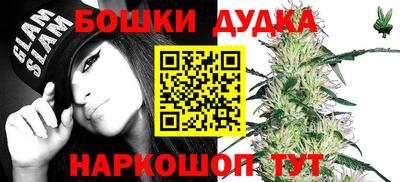 дживик Ставрополь